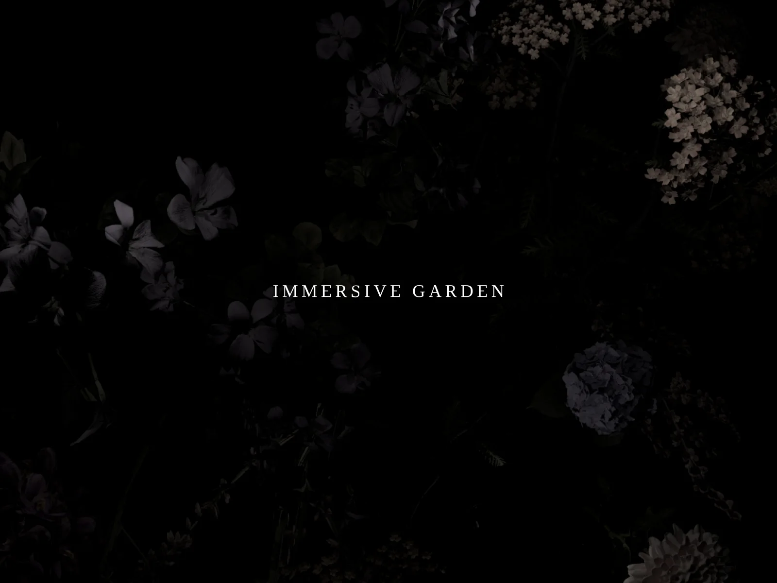 Легенды веб-дизайна: разбор студии Immersive Garden